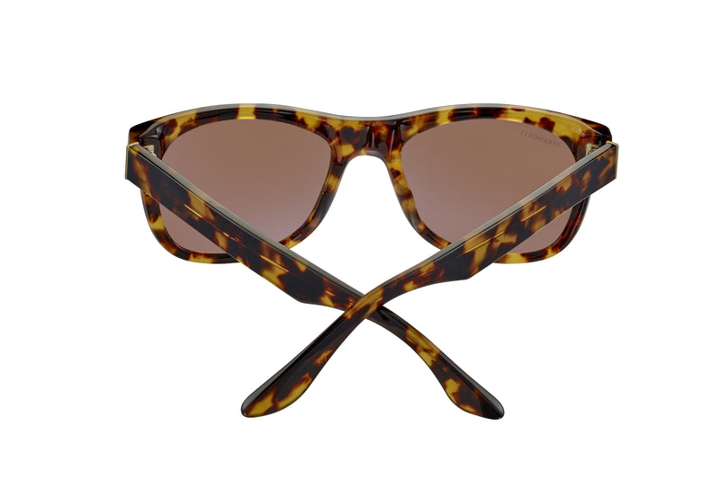 サングラス SERENGETI FW25 Serengeti - FOYT - ss549001 (FOYT SS549001) Foyt Polarized サングラス Shiny Havana | SmartBuyGlasses JP