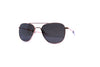 Randolph - Aviator (22k Rose Gold | American Gray Polarized)