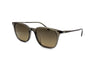 Oliver Peoples - Laedin [52] (Inkwell Acetate | Sandstone Gradient Polarized Crystal)
