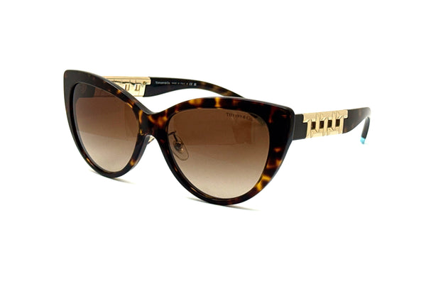 Tiffany & Co. - TF 4196-F (Havana | Brown Gradient)