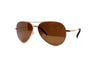 Serengeti - Carrara Small (Shiny Bold Gold)