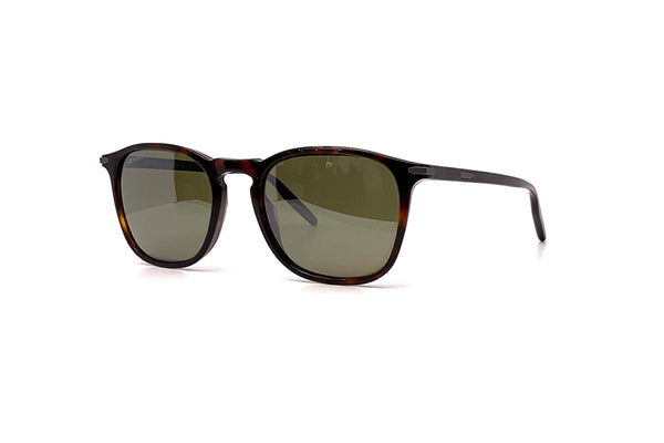 Serengeti - Delio (Shiny Dark Havana | Green Polarized)