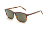 Serengeti - Lenwood (Classic Tortoise)