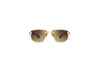 BUGATTI - 36H (24K Yellow Gold/Classic Horn Acetate | Brown Gradient Lens)