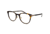 Gucci - GG1905OJ (Havana)