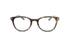 Gucci - GG1905OJ (Havana)