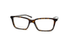 Gucci - GG1672O (Havana)