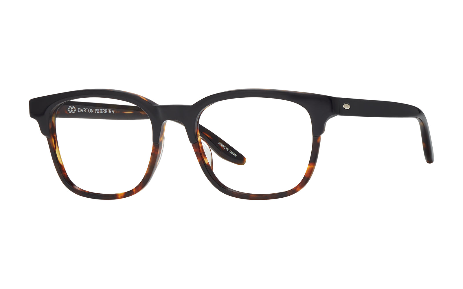EMER5003_Emerson_EbonyTortoise