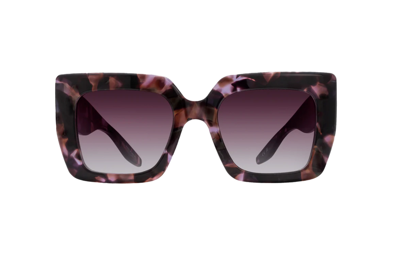 Juniper Tortoise | Cassis (AR)~hover