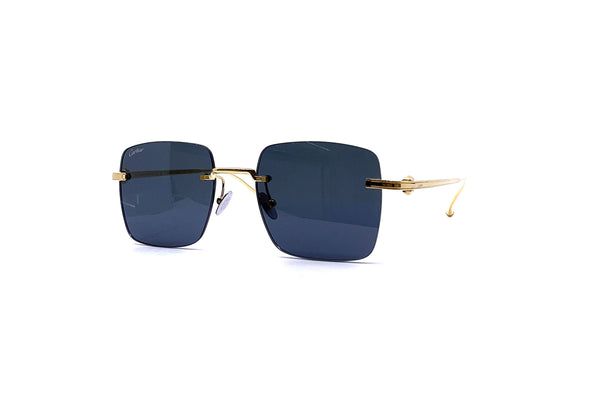 Cartier - Pasha de Cartier - CT0403S (002)