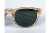 Entourage of 7 - Beacon (10-20) (Vintage Amber)