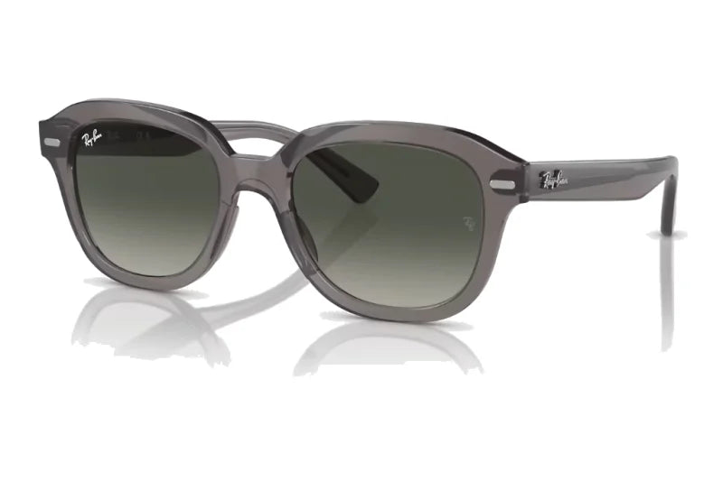 Ray Ban Erik Extra Large