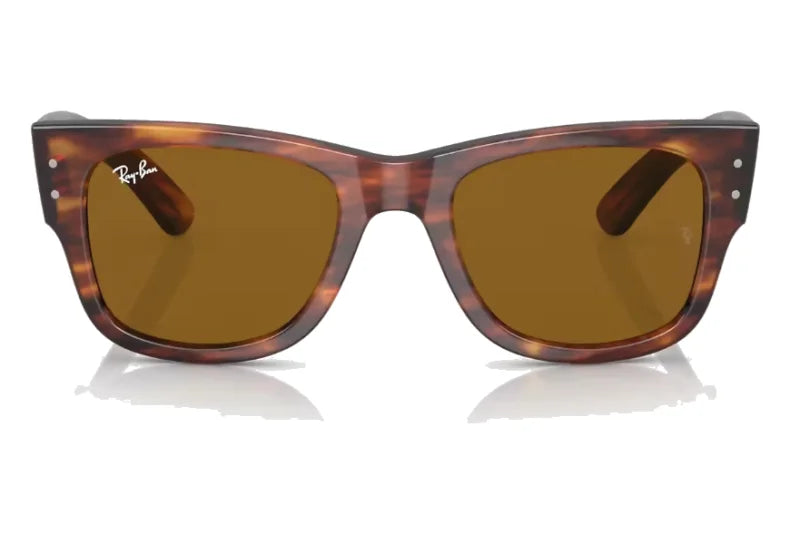 Ray-Ban - Mega Wayfarer (Medium)