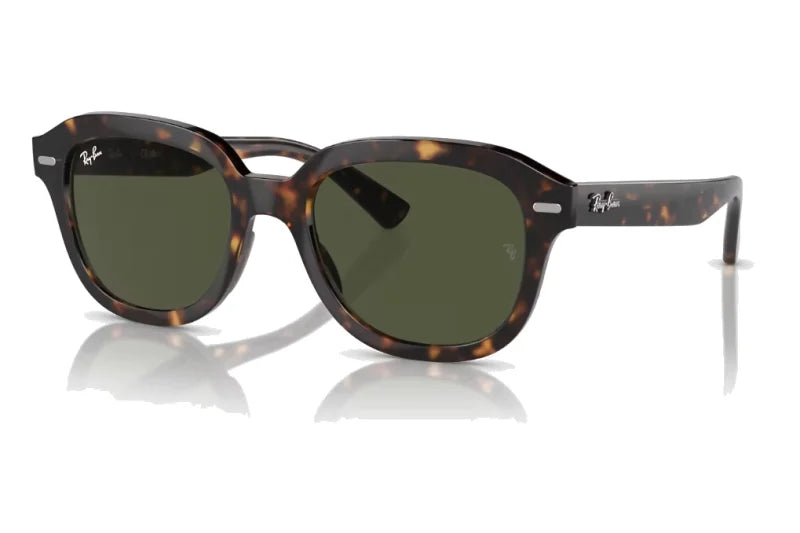 Ray-Ban - Erik (Extra Large)