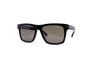 Tom Ford - Buckley-02 (Shiny Black | Brown Polarized)