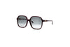 Valentino - VG0018SA (Violet | Grey)