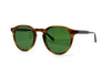 Garrett Leight - Royce Sun (Saddle Tortoise)
