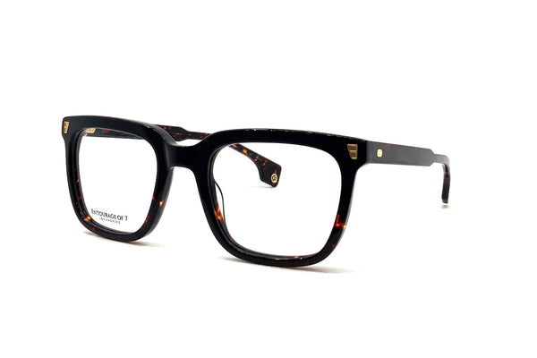 Entourage of 7 - Harrison (Black Tortoise)