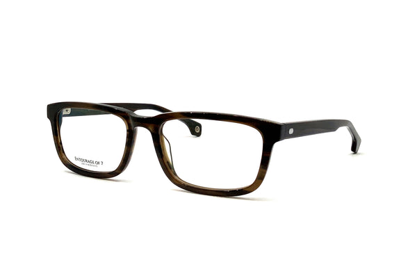 Entourage of 7 - Shane XL (Brown Pattern)