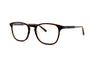 Garrett Leight - Boon (Brandy Tortoise)