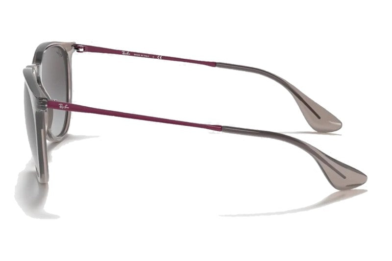 Ray-Ban - Erika Color Mix (Standard)