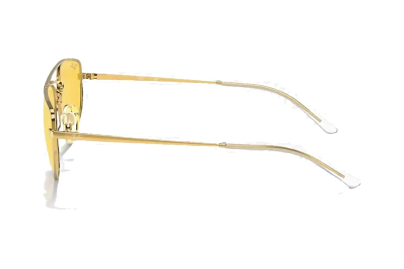 Ray-Ban - RB3668 (Standard)