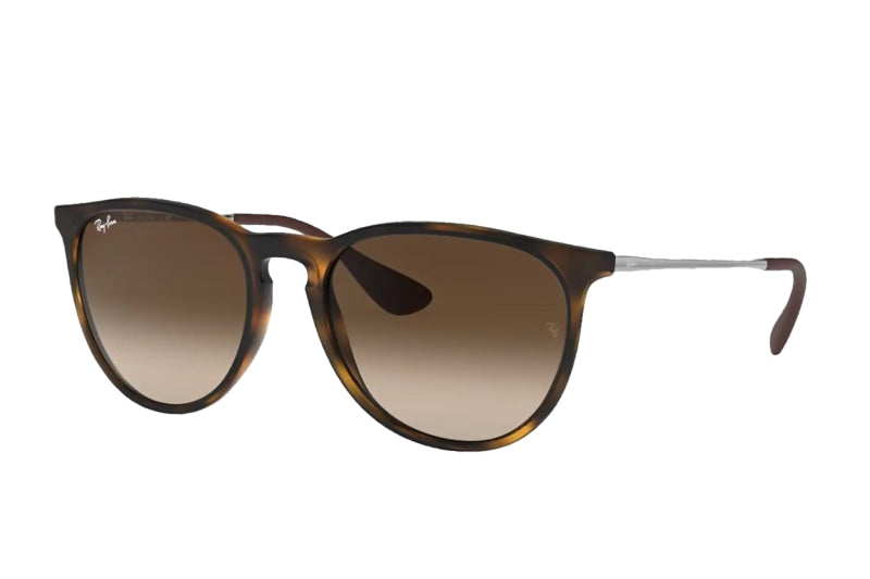 Ray-Ban Erika Classic (Standard) – Good See - Main Image
