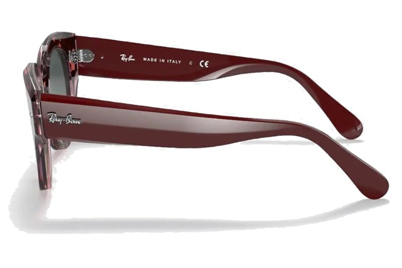 Ray online ban 4152