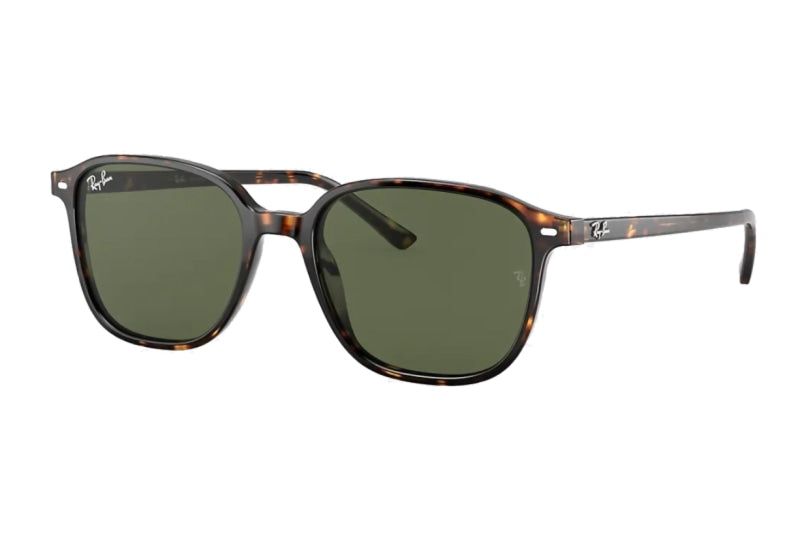 Ray-Ban Leonard (Standard) – Good See