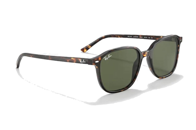Ray ban leonard best sale polarized