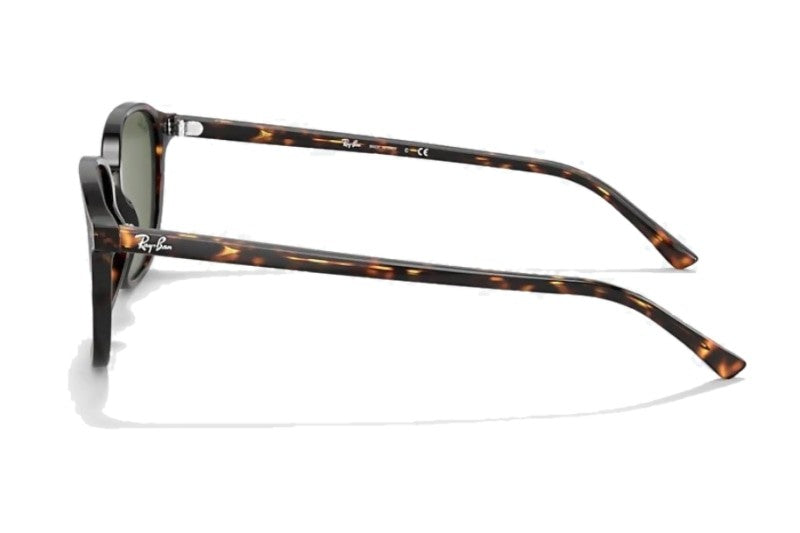 Ray-Ban - Leonard (Standard)