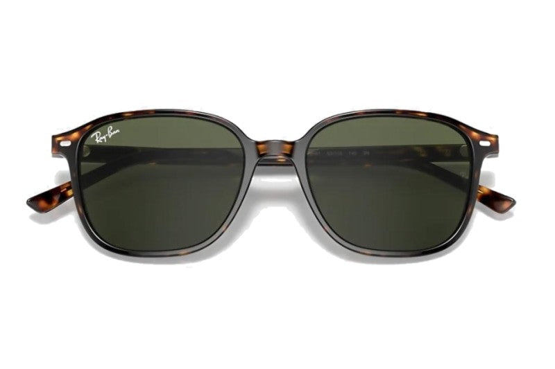 Ray-Ban - Leonard (Standard)