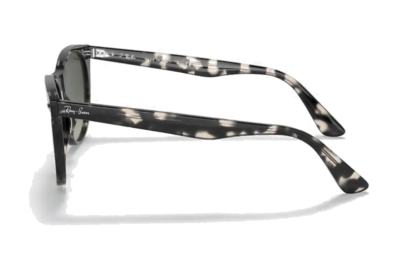 Ray-Ban - Wayfarer II Fleck (Standard)