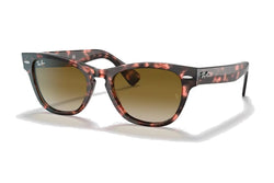 Ray-Ban - Laramie (Standard) – Good See Co.