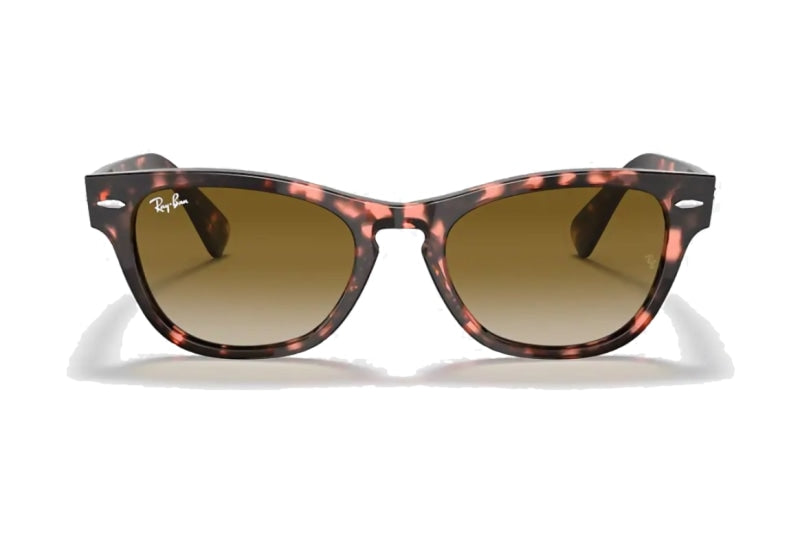 Ray-Ban - Laramie (Standard)