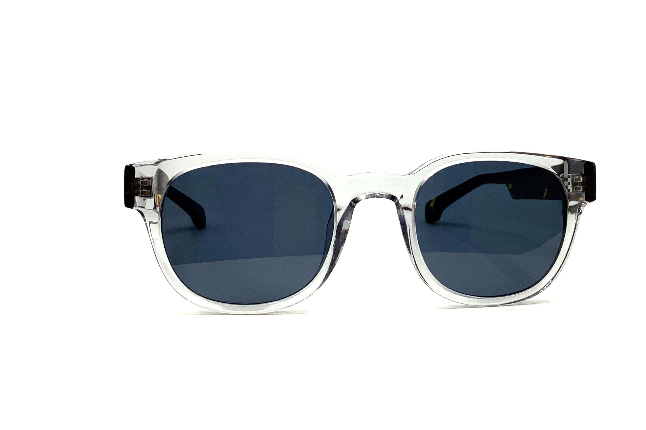 Entourage of 7 - Beacon (10-12) (Frost/Tortoise Blue Polarized)