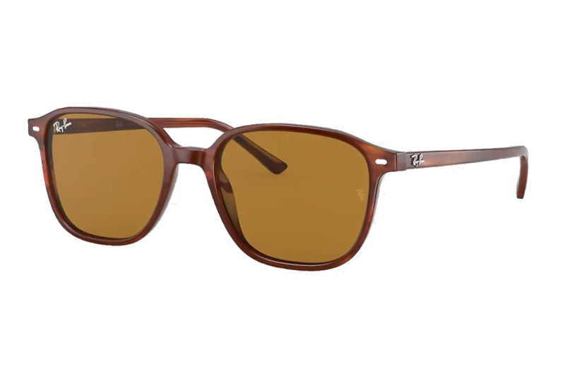 Ray-Ban - Leonard (Standard)