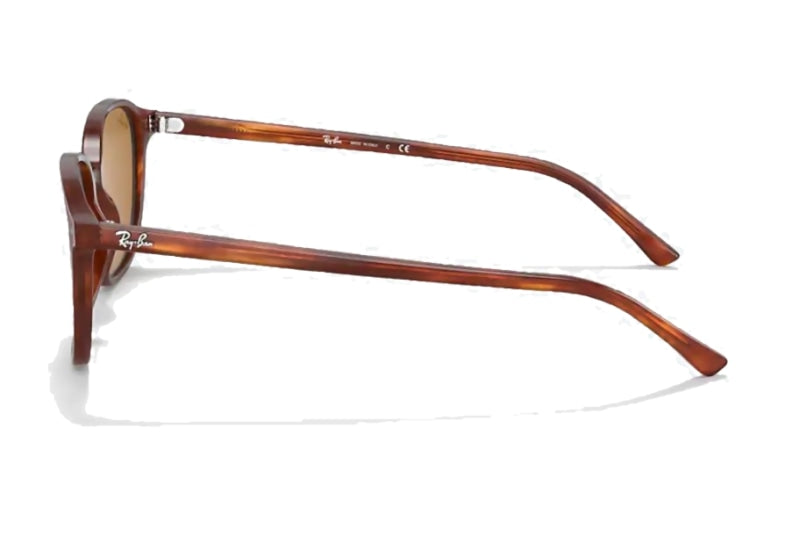 Ray-Ban - Leonard (Standard)