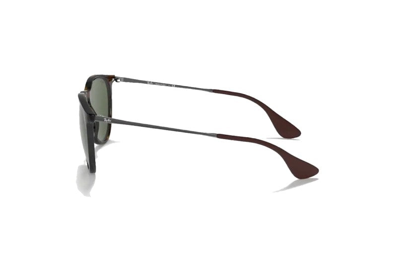Ray-Ban - Erika Classic (Standard)
