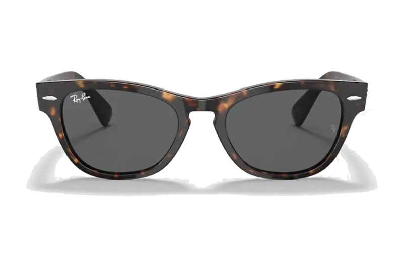 Ray-Ban - Laramie (Standard)