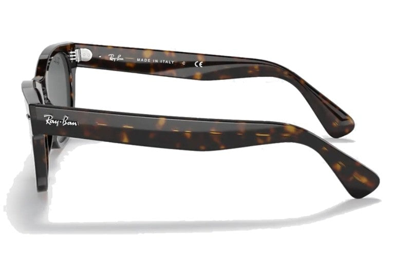 Ray-Ban - Laramie (Standard)