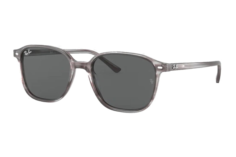 Ray-Ban - Leonard (Small) – Good See Co. Ray-Ban - Leonard (Small) – Good See Co.