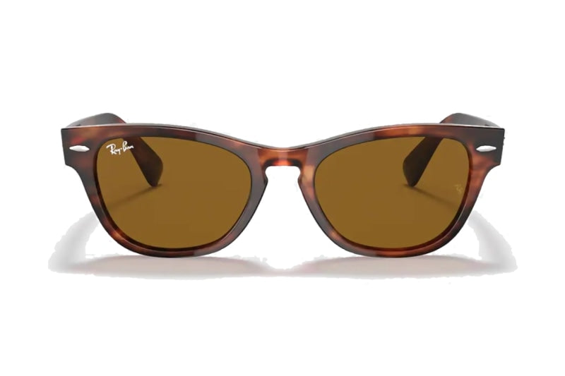 Ray-Ban - Laramie (Standard)