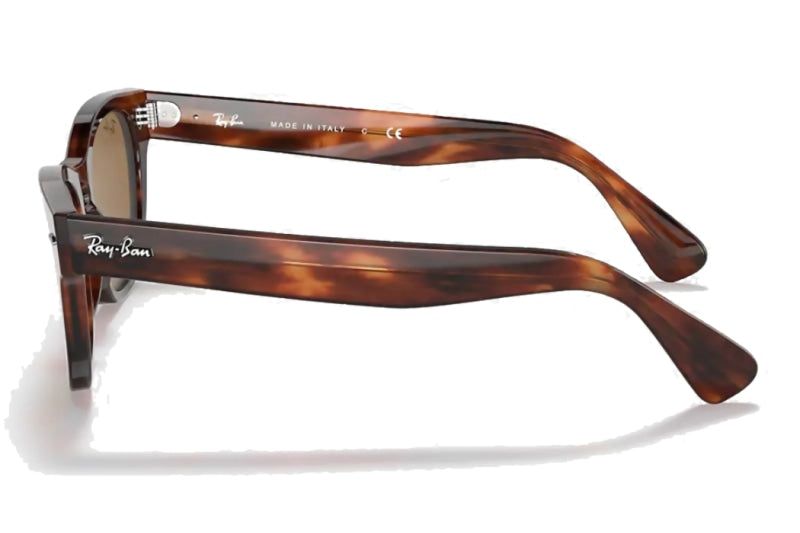 Ray-Ban - Laramie (Standard)