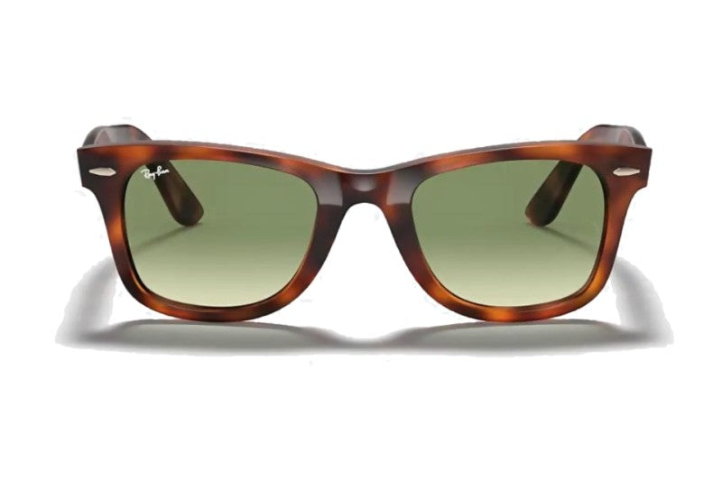 Ray-Ban - Wayfarer Ease (Standard)