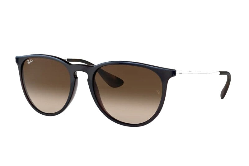 Ray Ban Erika Classic Standard