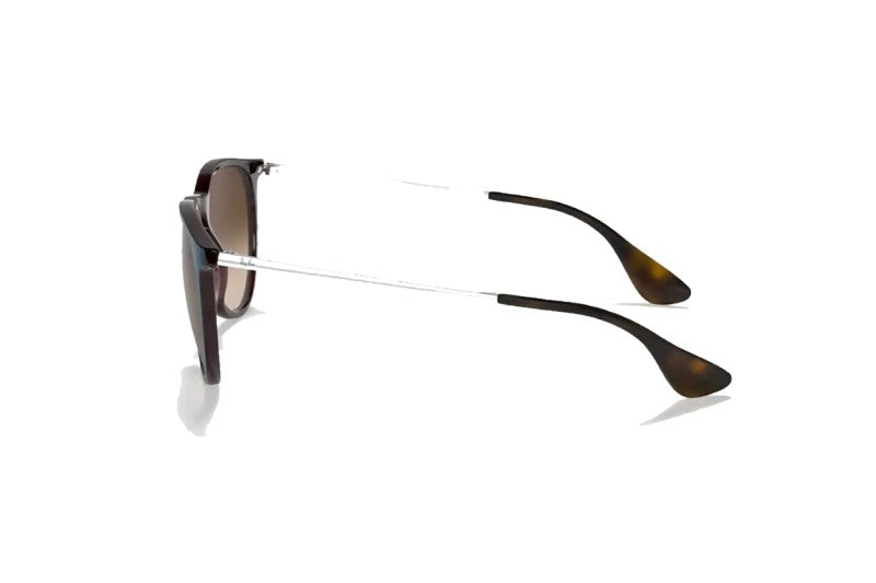 Ray-Ban - Erika Classic (Standard)