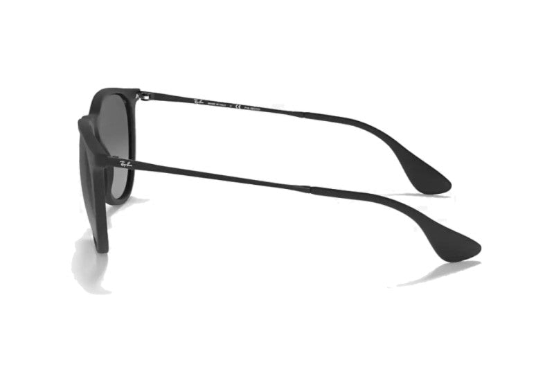 Ray-Ban - Erika Color Mix (Standard)
