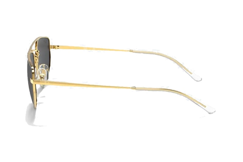 Ray-Ban - RB3668 (Standard)