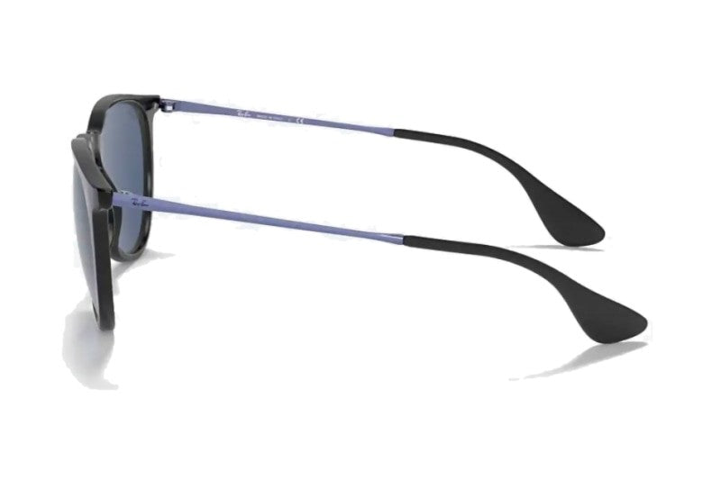 Ray-Ban - Erika Color Mix (Standard)